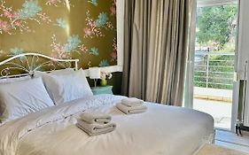 Cynthia Comfort Living Volos